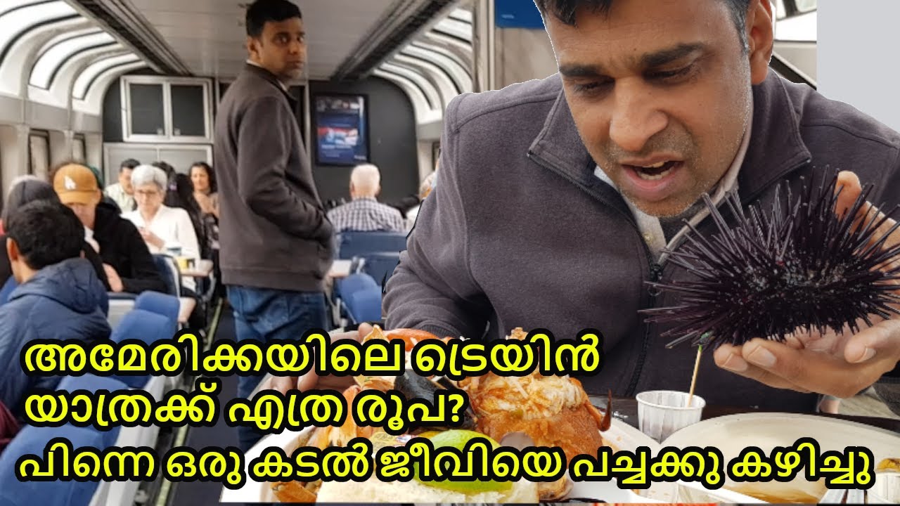 Cost of Train Journey in USA | Eating Raw Sea Urchin | USA ട്രെയിൻ യാത്രക്ക് എത്ര രൂപ?