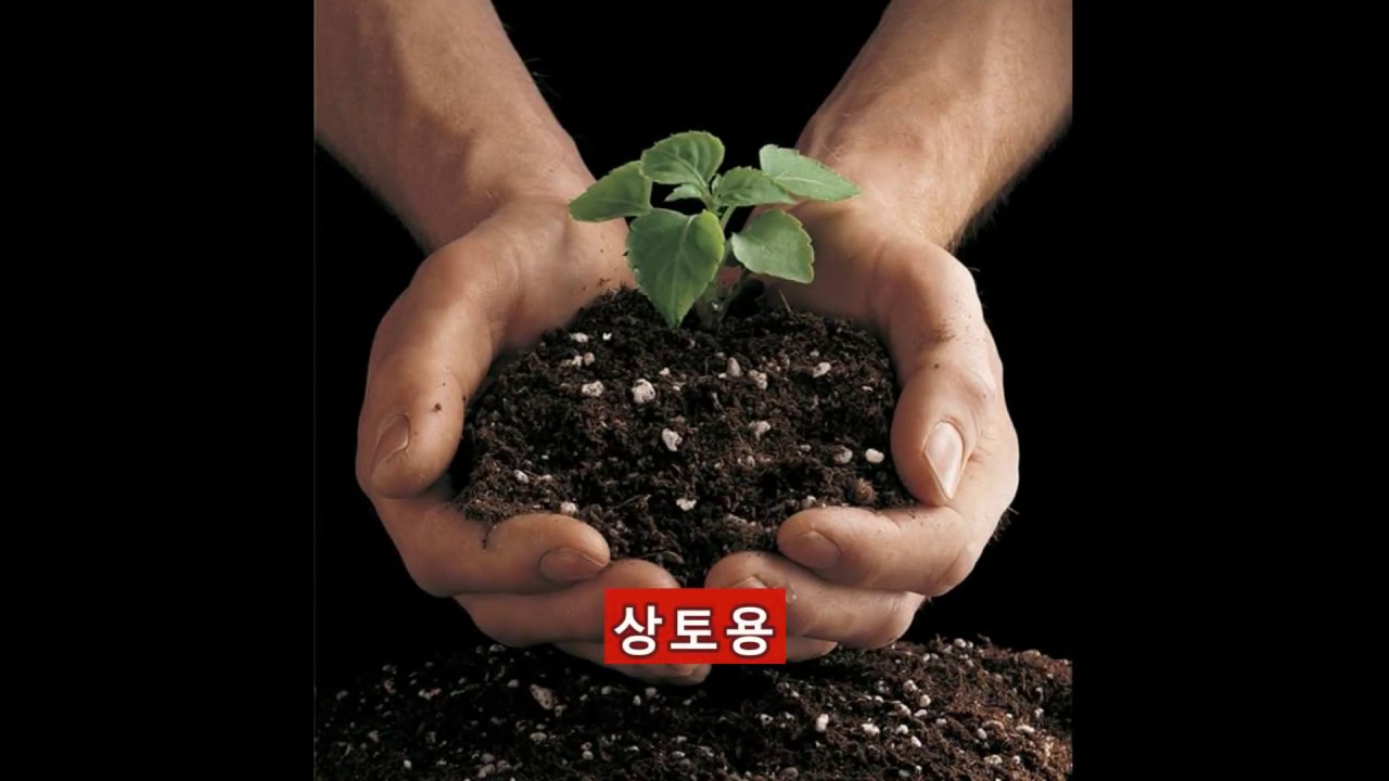 파워라이트(석탄재,석탄회,bottom ash)  홍보영상(상토, 수경재배, 양액배지, 원예, 조경, 옥상녹화, 잔디, 다육, 화훼)_코카스엔텍