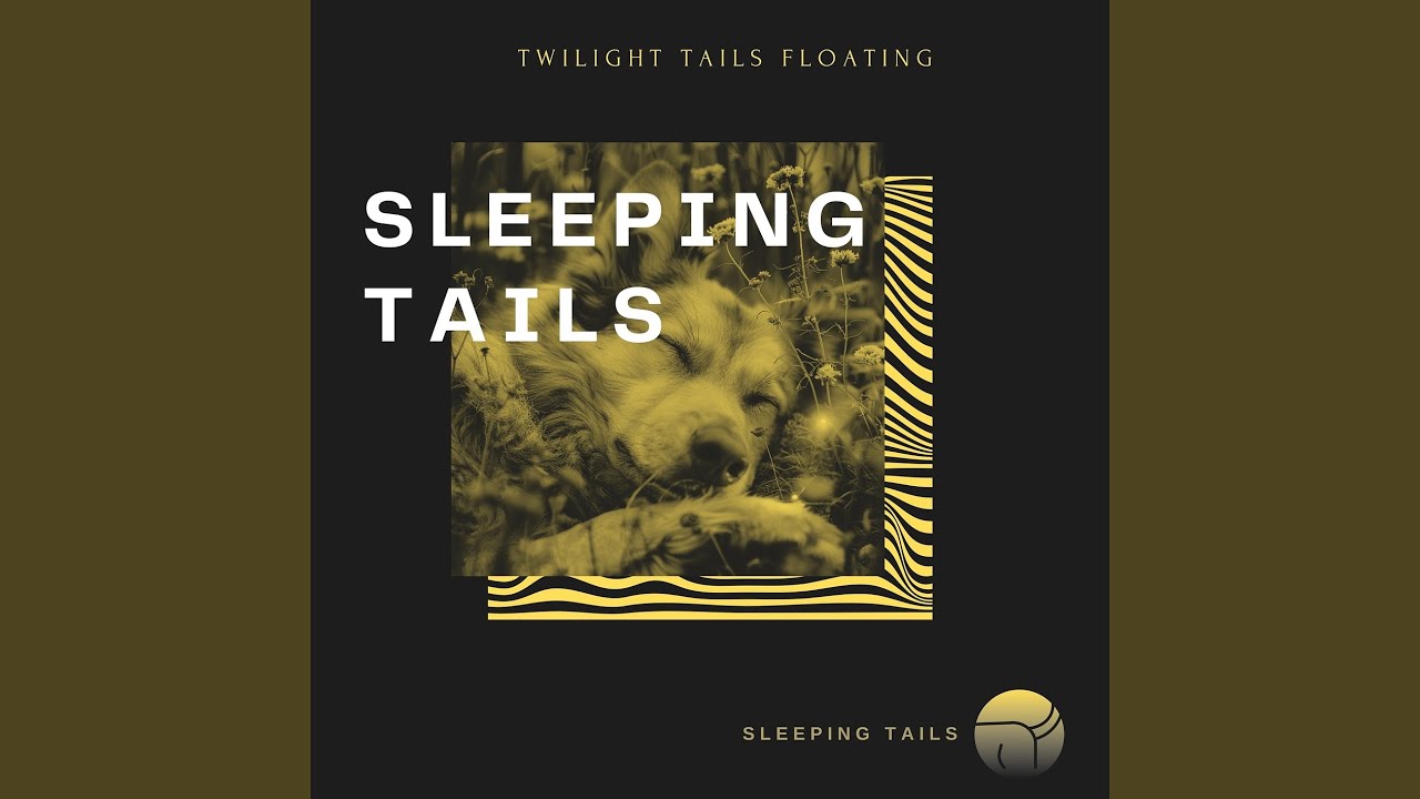 Relaxing Harmony for Pets