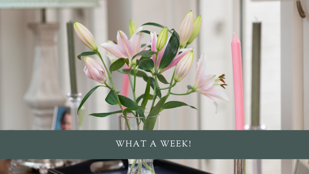 What a week!