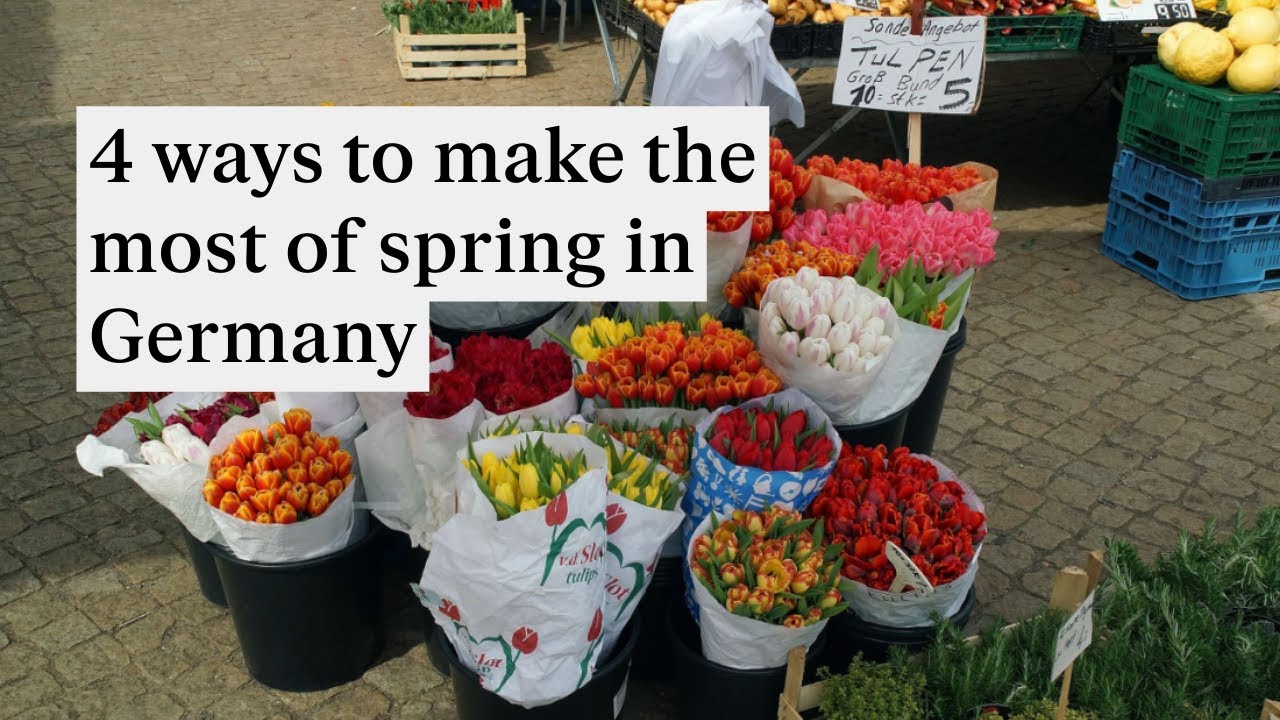 5 ways to make the most of spring in Germany