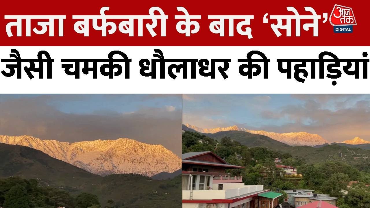 Himachal Pradesh के Dharamshala में ताजा बर्फबारी के बाद धौलाधर की पहाड़ियां 'सोने' सी चमकी रही हैं