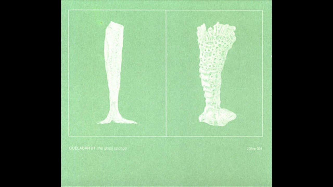 Coelacanth &ndash; The Glass Sponge
