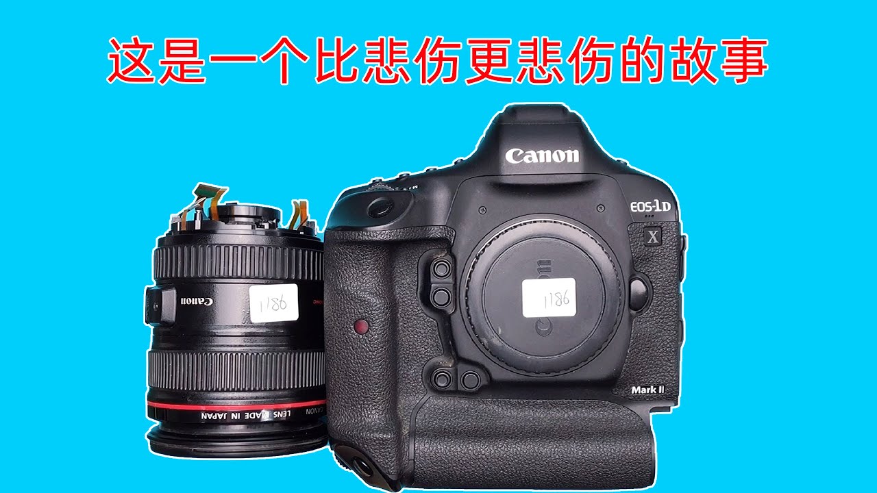 一个比悲伤更悲伤的故事 佳能1DX2和24/105
