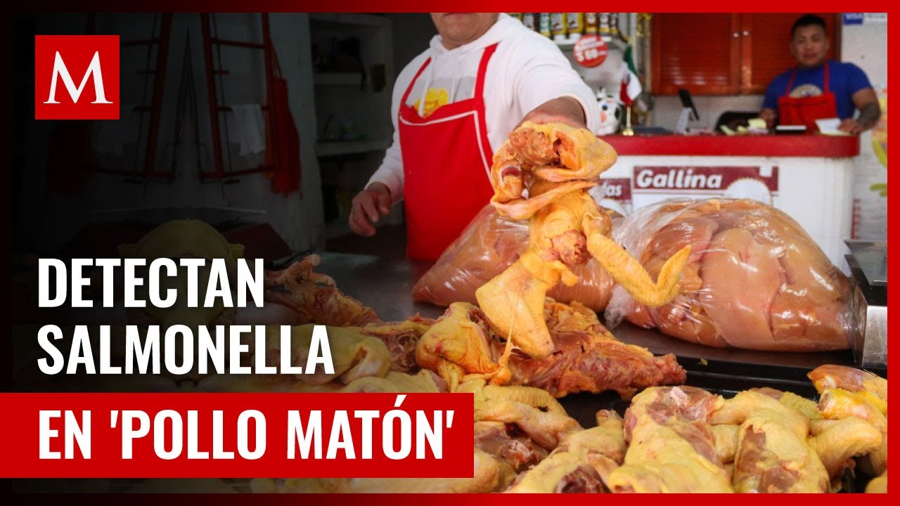 Salmonella en 'Pollo Mat&oacute;n' de Escobedo, NL: todo lo que necesitas saber
