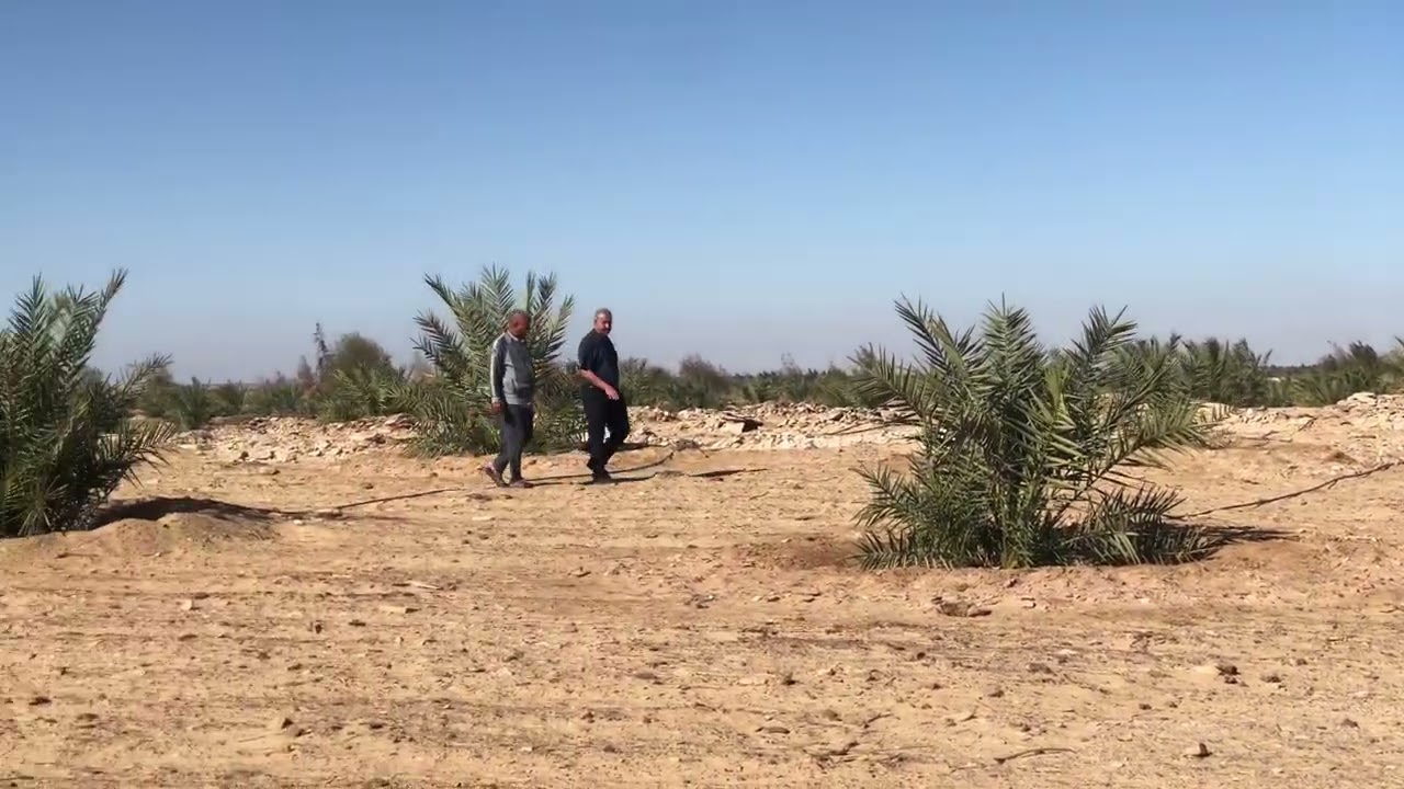 13فدان سعر مناسب وموقع متميز جدا للتواصل 01285774769