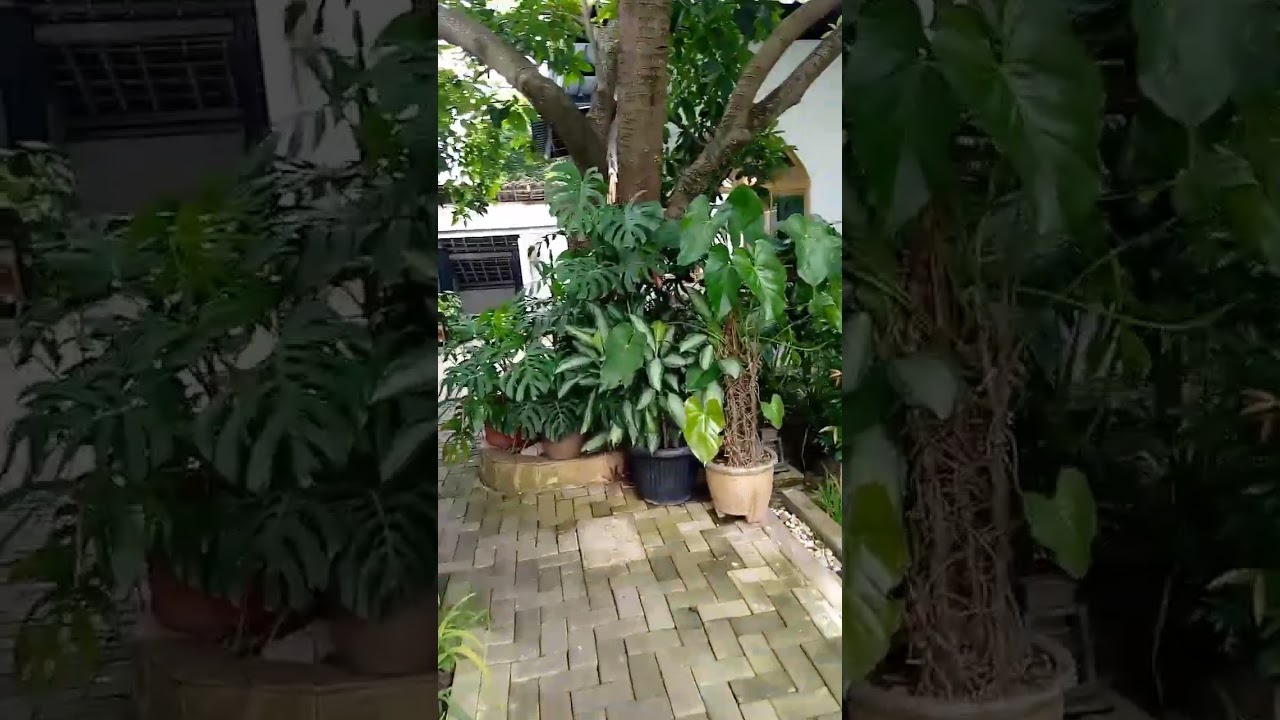 coffee time with playground 
