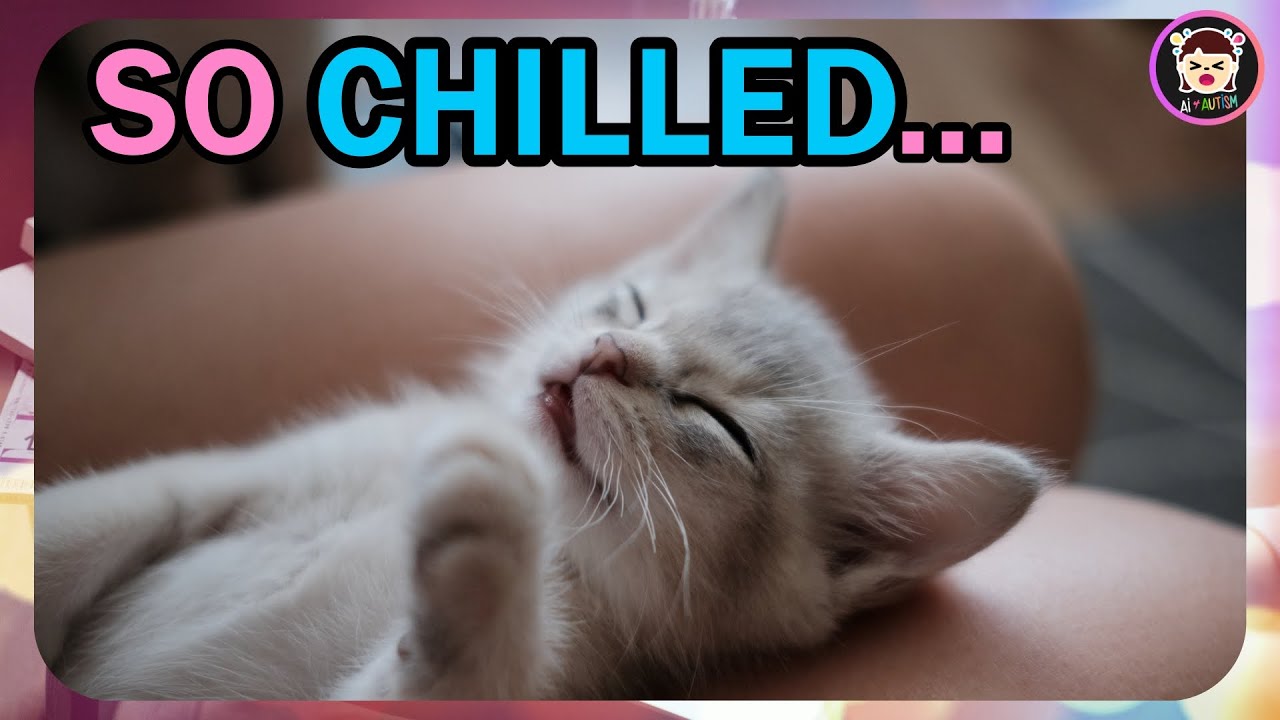 Cats Are Less Stressed in Families With Autistic Children | Ai4Autism