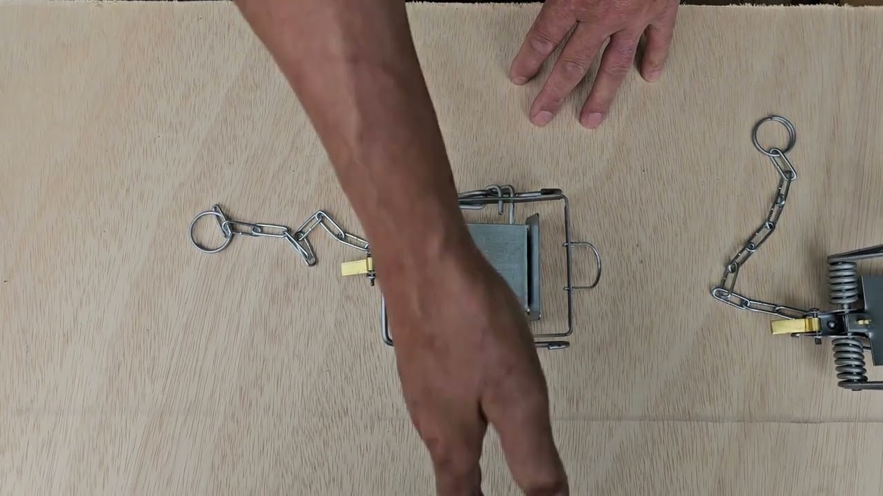 How to set a Fenn trap.