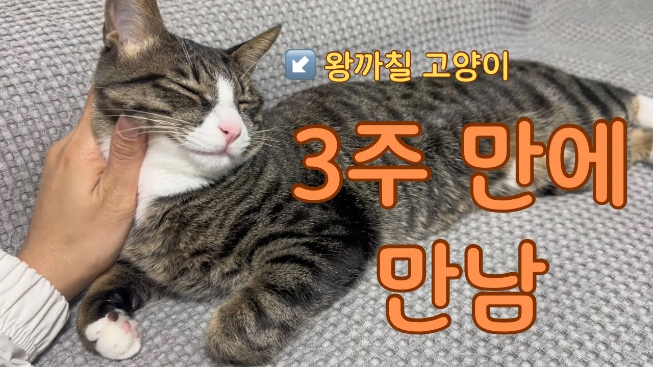 매번 이렇담 정말 좋겠네
