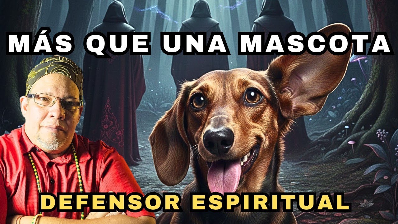LOS PERROS como MASCOTA en la casa de un religioso (Regla de Osha e IFA)