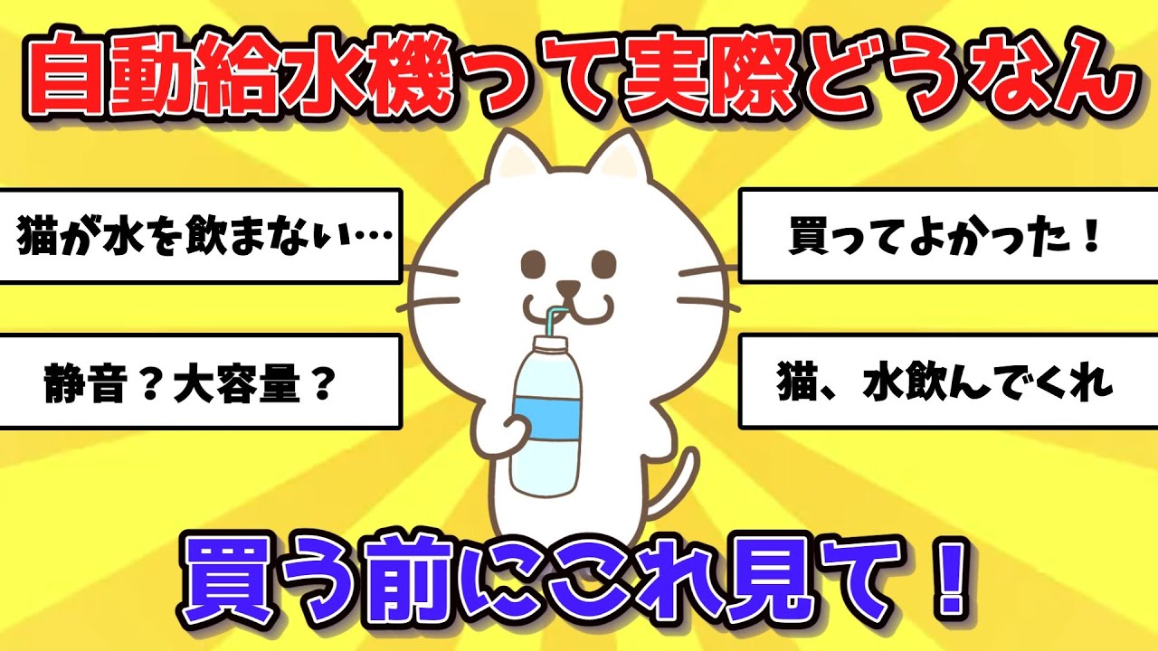 【有益】猫の健康におすすめ自動給水機！口コミまとめ【Amazon】