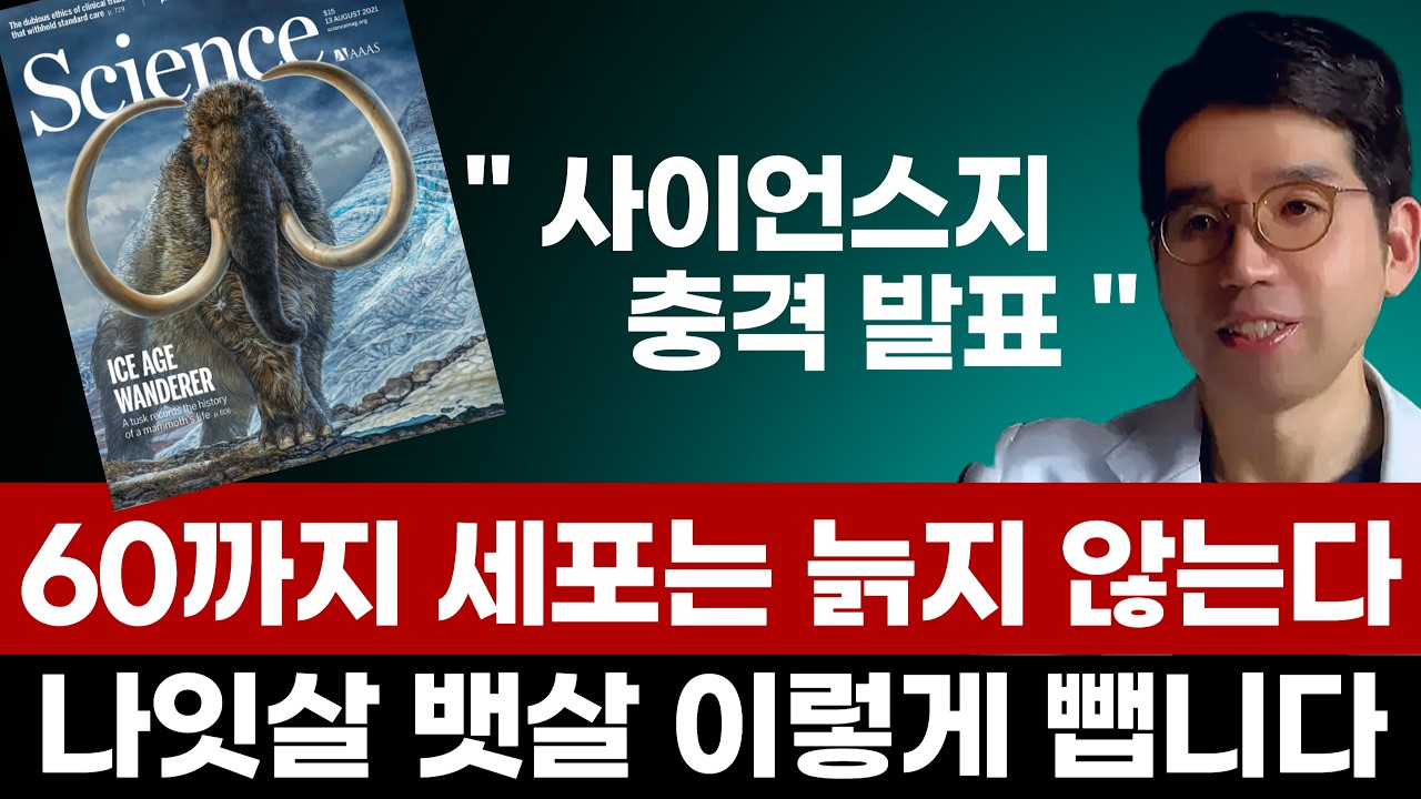 중년에 나잇살 뱃살 빼는 불변의 법칙 4가지 | 사이언스지 충격발표