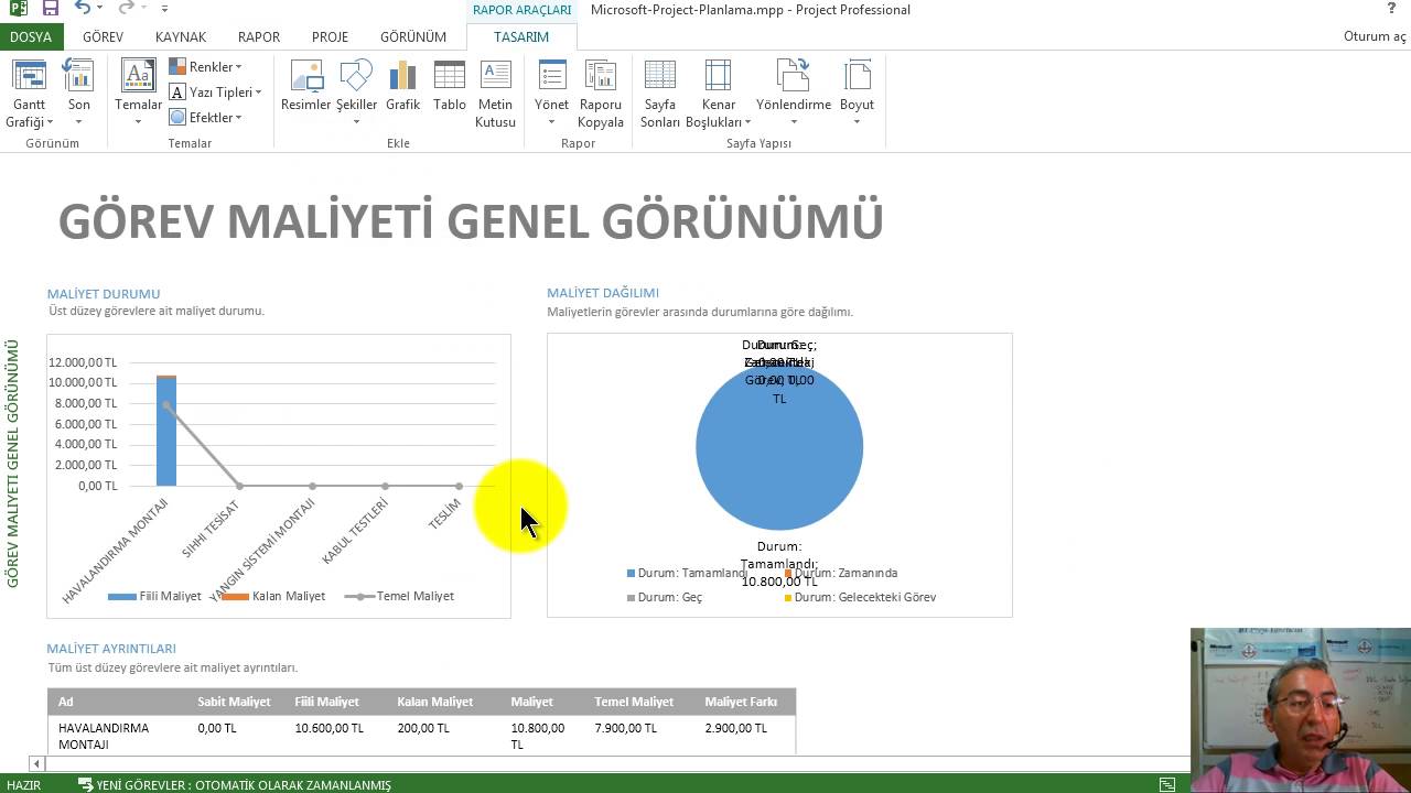 Microsoft Project Raporlama