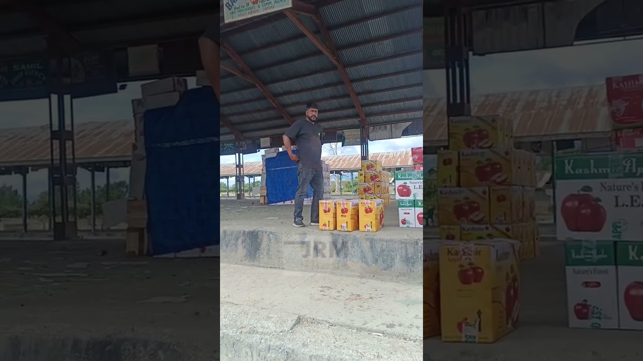 JRM3 Asia's Second largest fruit market is the Sopore Fruit Mandi in Kashmir, India #mandi #sopore