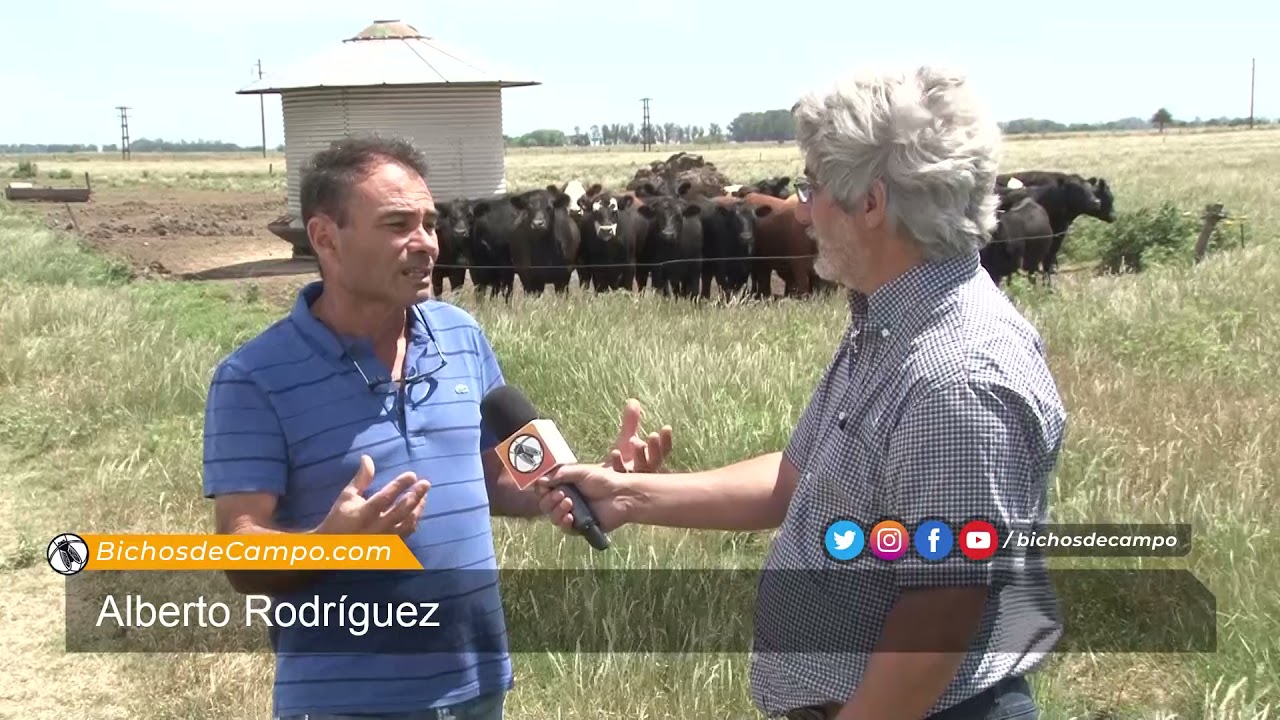 Alberto Rodríguez, productor ganadero de Magdalena