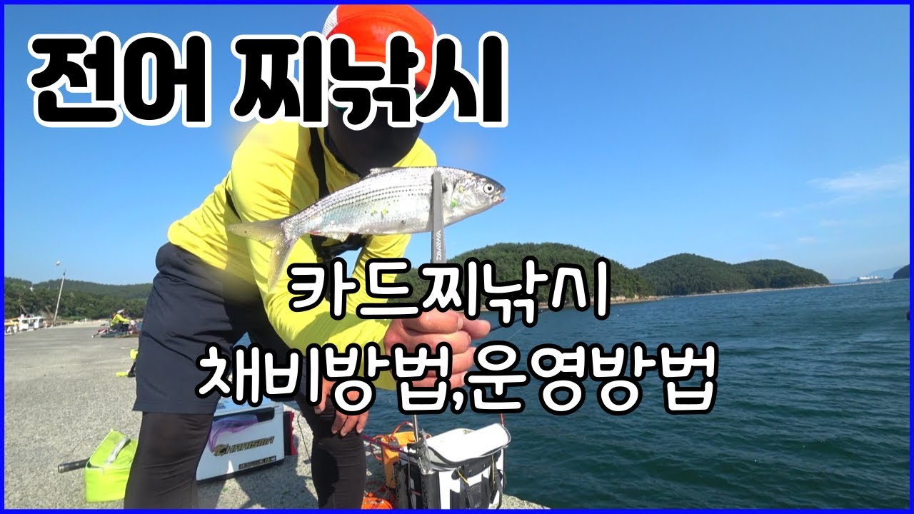 마산 전어찌낚시 (카드채비)채비방법과 운영방법 입니다