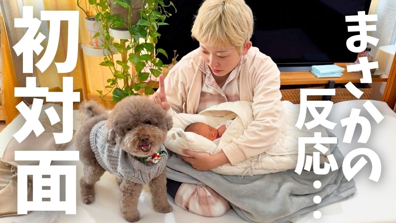 【生後0ヶ月】赤ちゃんが我が家にやってきた！愛犬もじゃの反応は？
