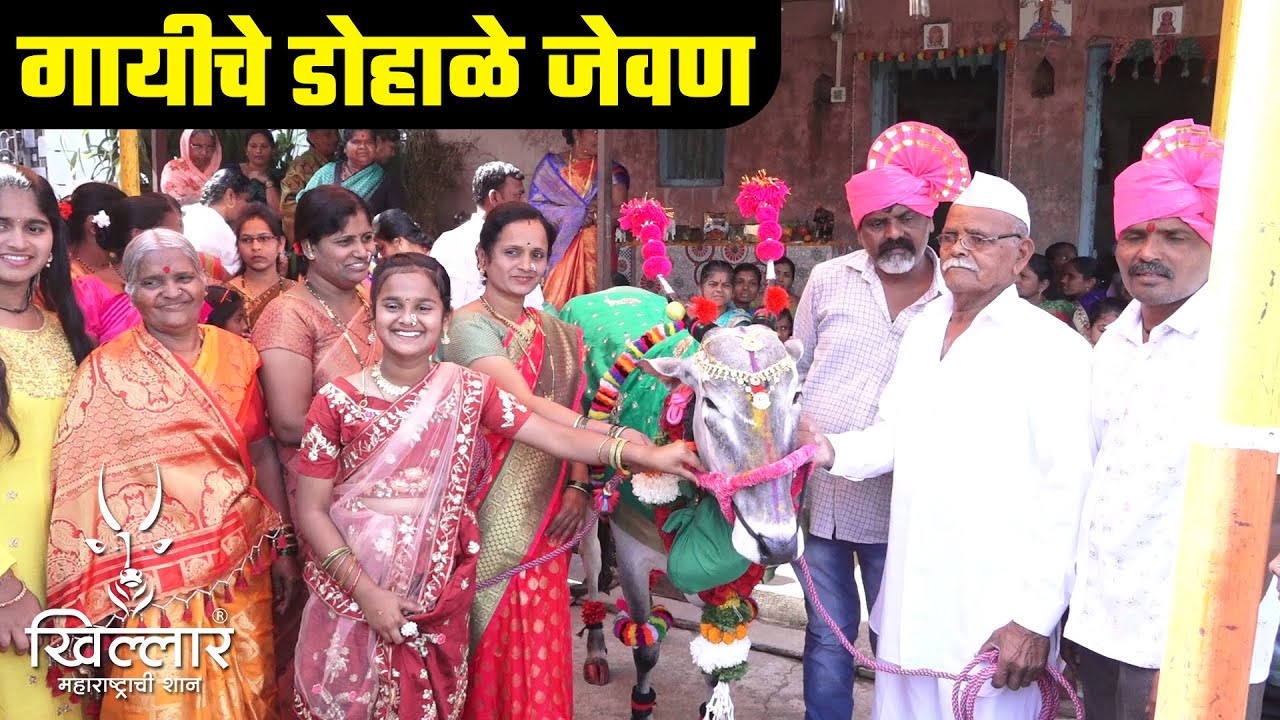 गायीचे डोहाळे जेवण कार्यक्रम । संतोष देसाई, शिगाव | Khillar Maharashtrachi Shaan 2023