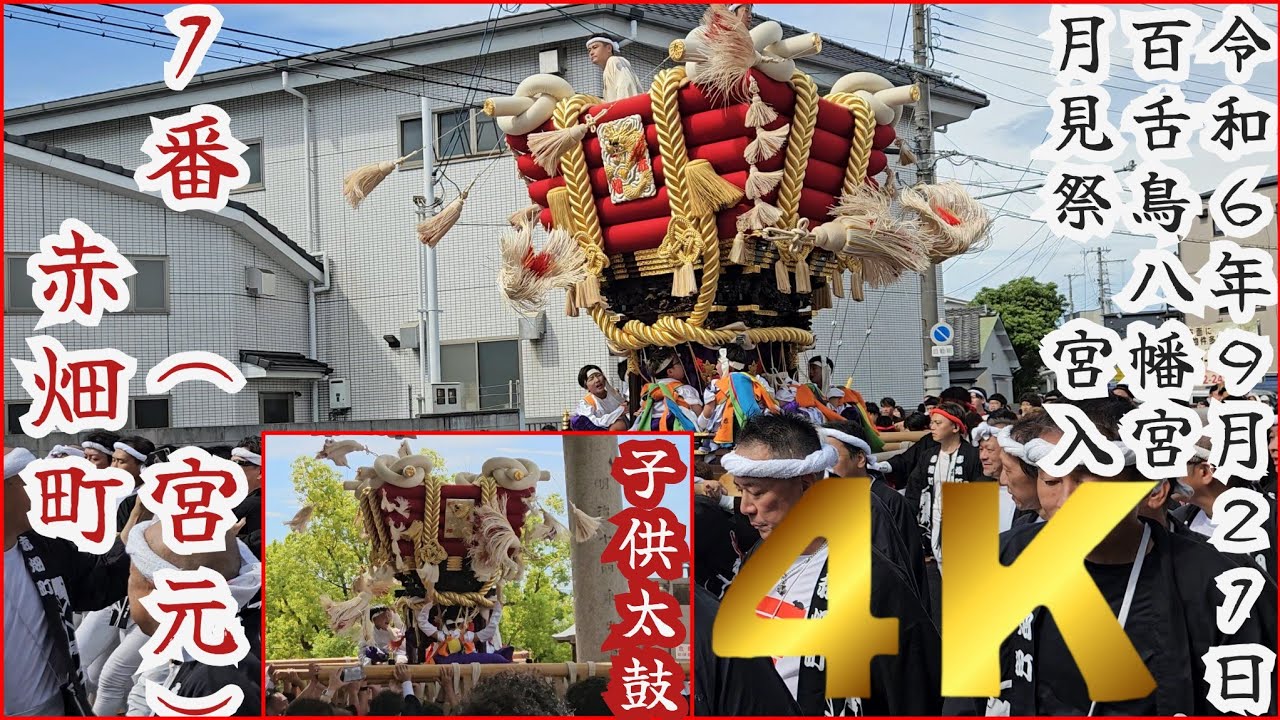 ４K撮影 １番(宮元)赤畑町 子供太鼓と同時宮入【宮入前からこの迫力！国道３１０号線手前～蔵入れまで】※時間割付き　２０２４年(令和６)年９月２１日　百舌鳥八幡宮月見祭