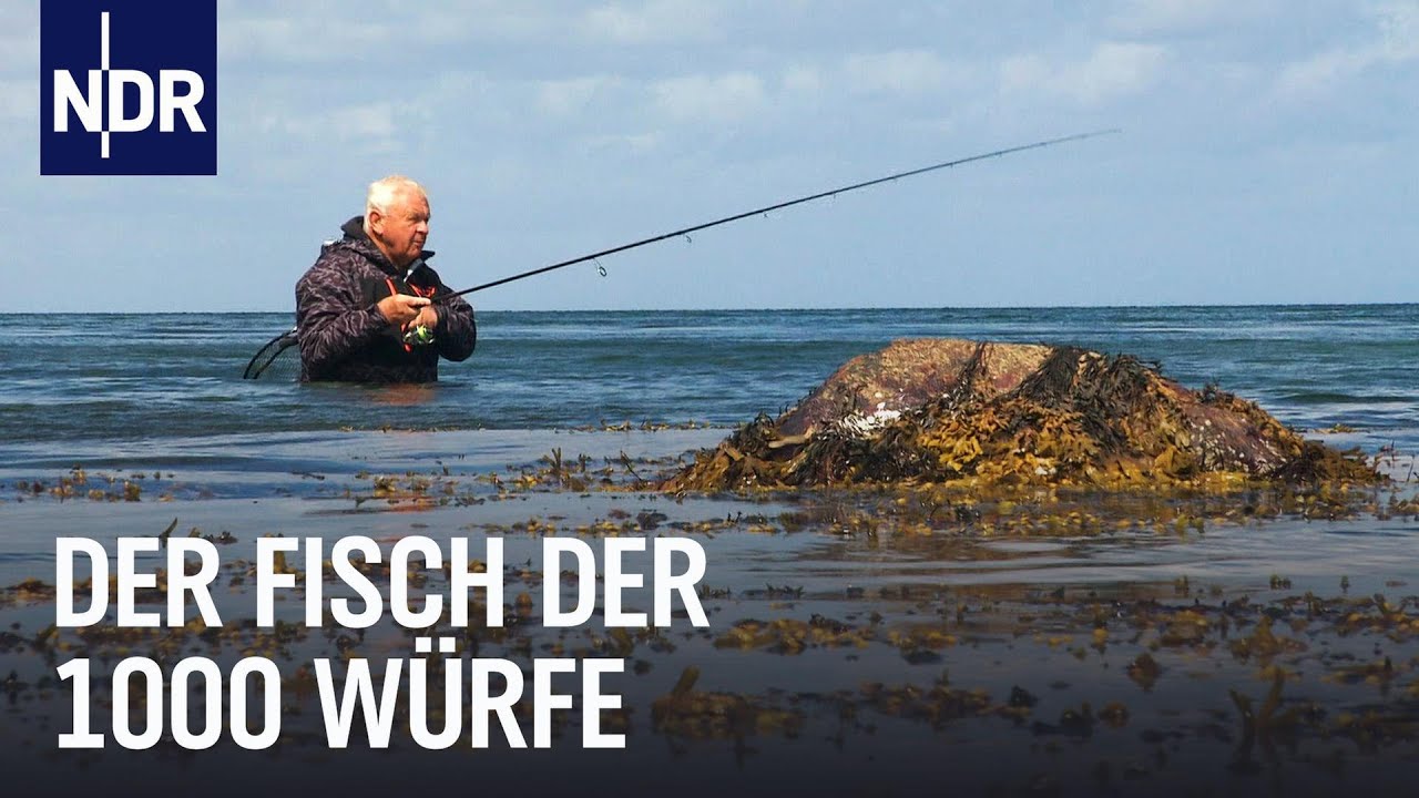 Auf Meerforelle in Dänemark | Rute raus, der Spaß beginnt! | NDR Doku