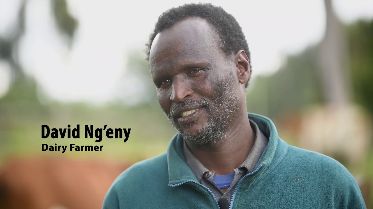 Forest regeneration through controlled livestock grazing in South West Mau Forest, Kenya