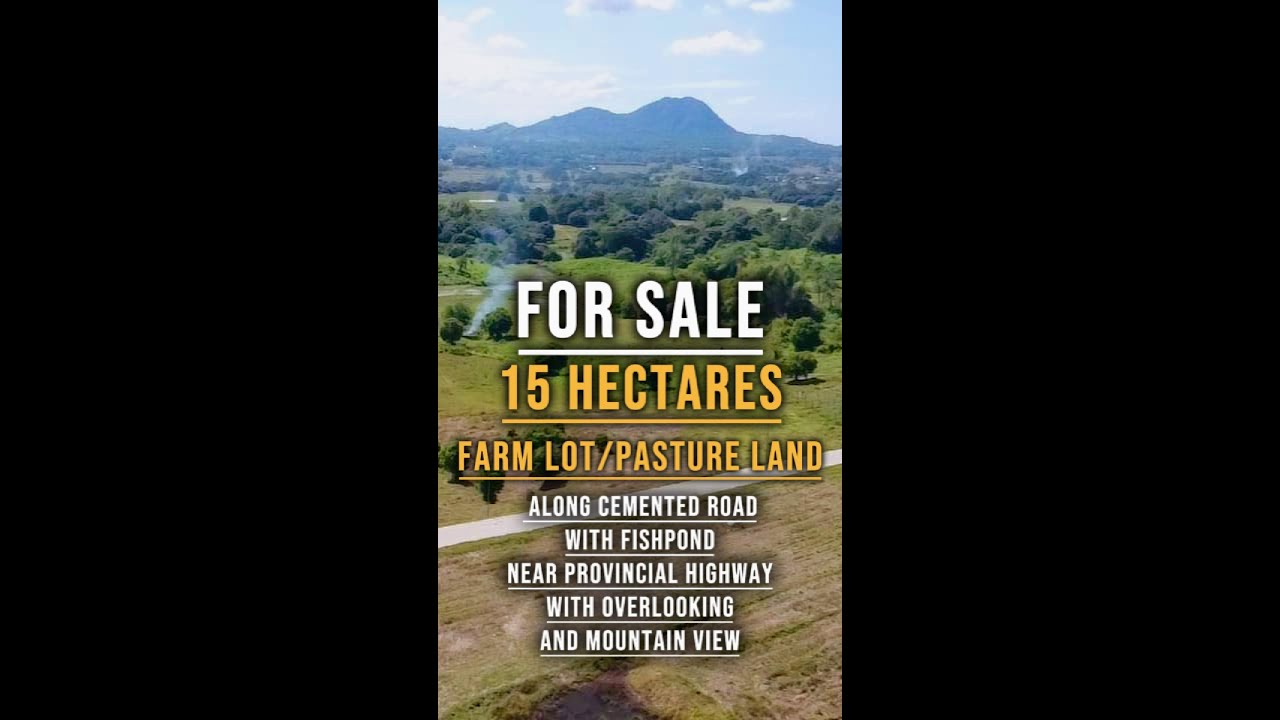 (V448) 15 HECTARES FARM LOT/PASTURE LAND, ALONG CEMENTED ROAD, WIDE FRONTAGE, PRICE 75 PESOS PER SQM