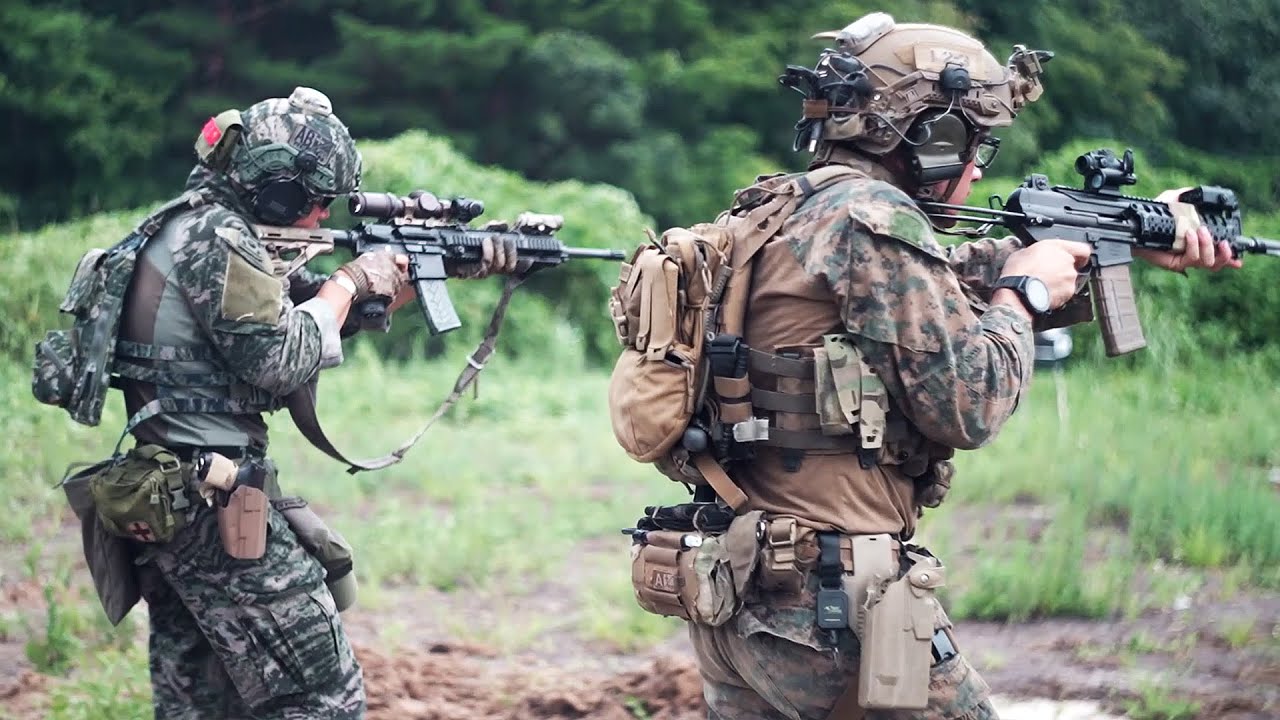 U.S. and ROK Recon Marines Conduct Bilateral Live-Fire Training (Aug 2024)