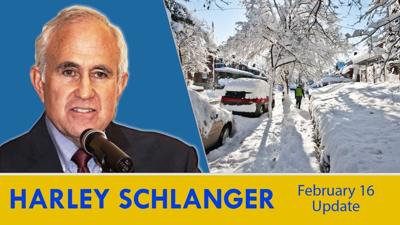 Blackouts in Texas Show That the Green New Deal Can Kill You! &mdash; Harley Schlanger Update