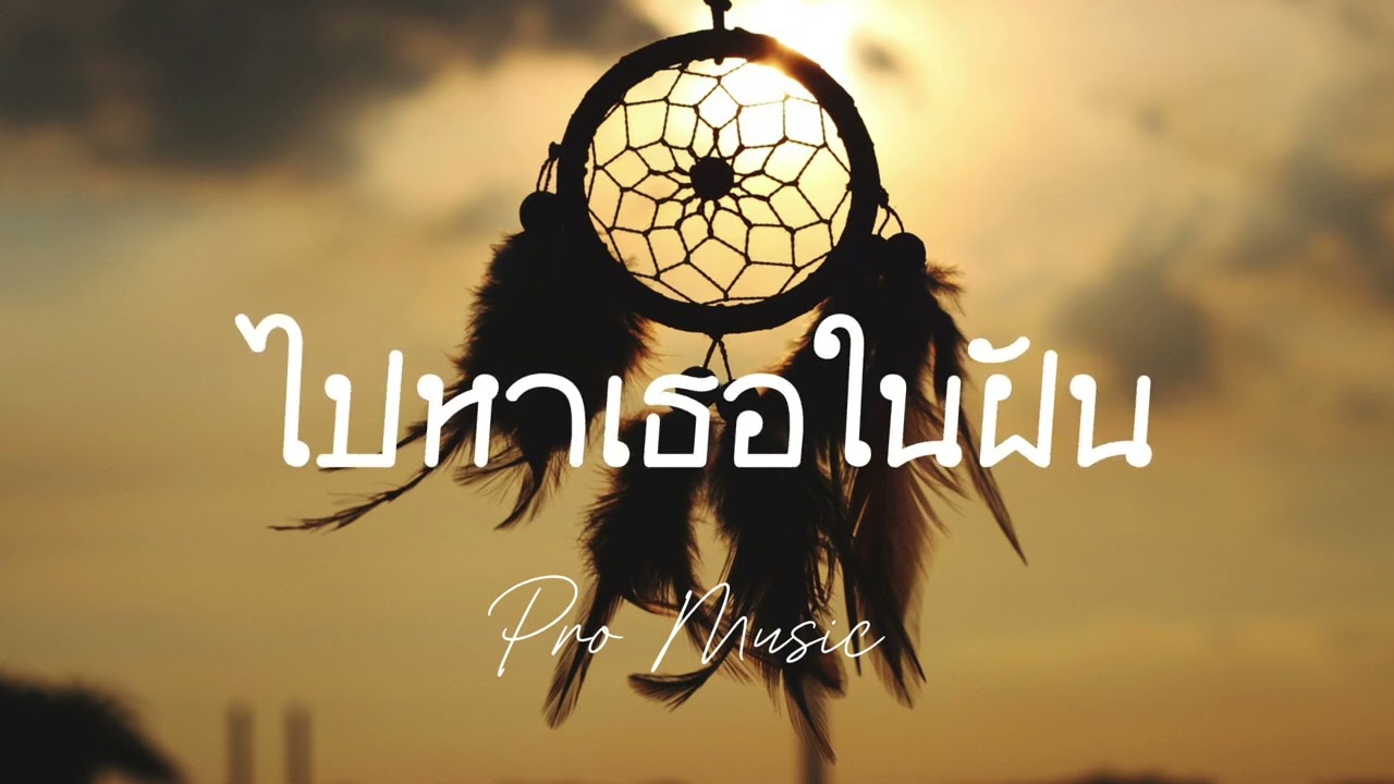 ไปหาเธอในฝัน - Pro Music 