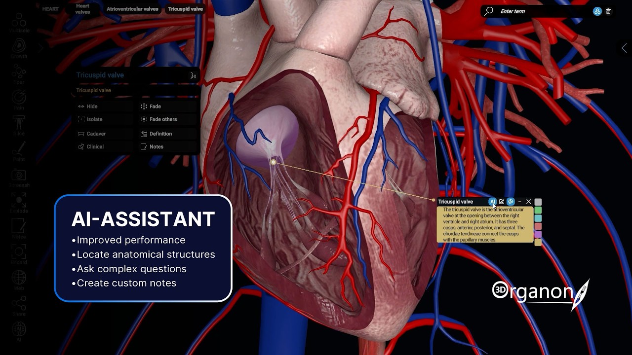 3D Organon 2026: What's New