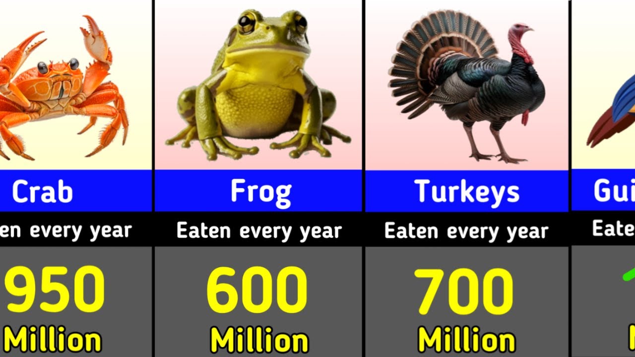 How Many Animals Do Humans Eat Every Year? The Number Will SHOCK You! 😱