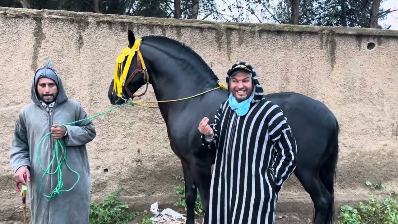 سوق الخميسات اليوم نزلات علينا رحمة رب العالمين اجواء شتوية برحبة الخيل الحرايفية كولشي فرحان و ناشط