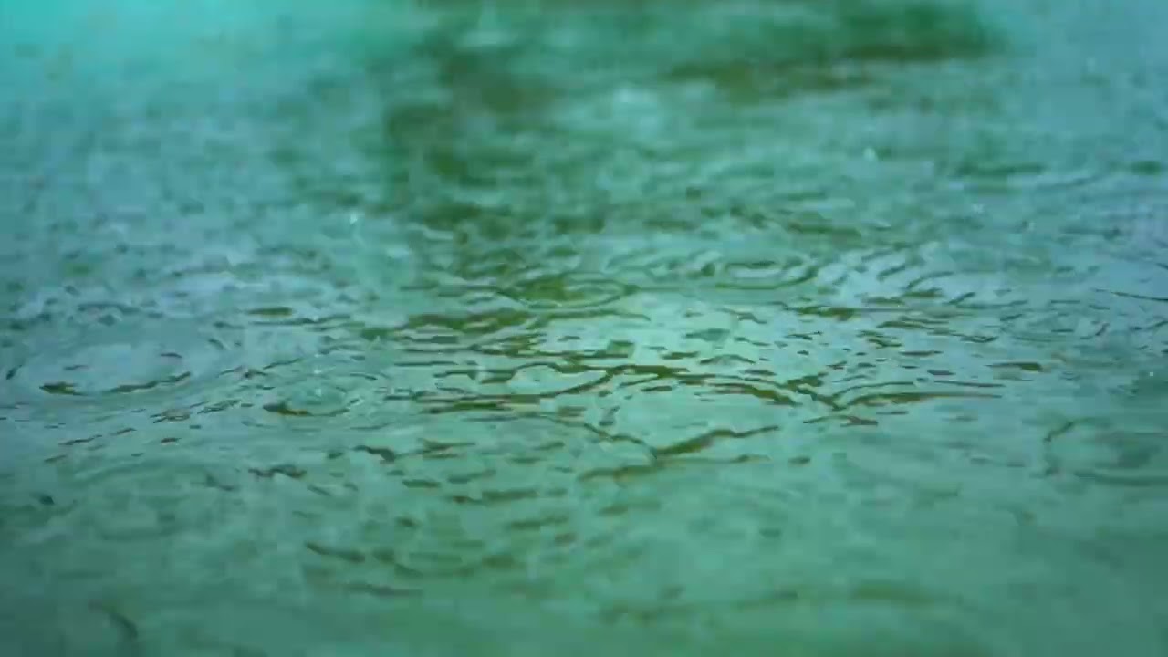 5 Minutes of Rain Nature Sounds