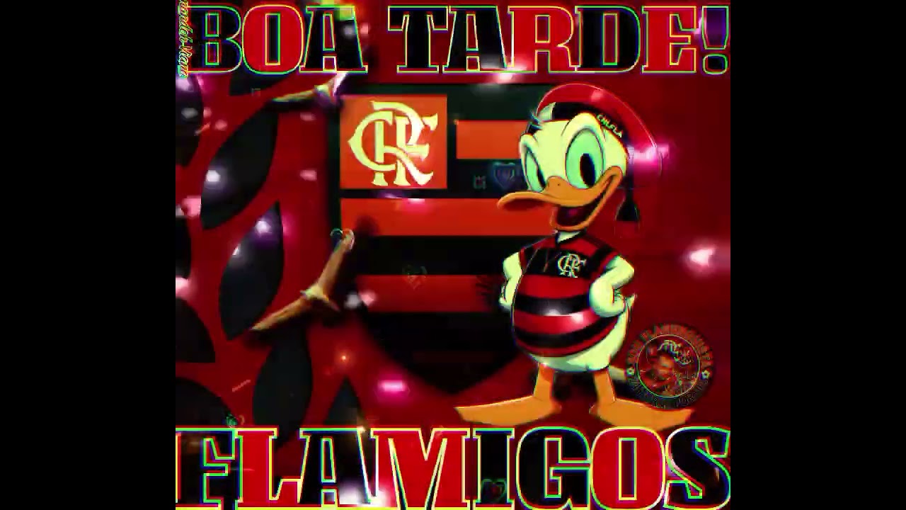 06/12/2024/ BOA TARDE NAÇÃO RUBRO-NEGRA ISSO AQUI É FLAMENGO PORRAAAAAAAA