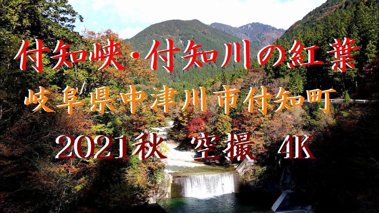 付知峡　付知川　紅葉　空撮　2021秋　岐阜県中津川市　4K