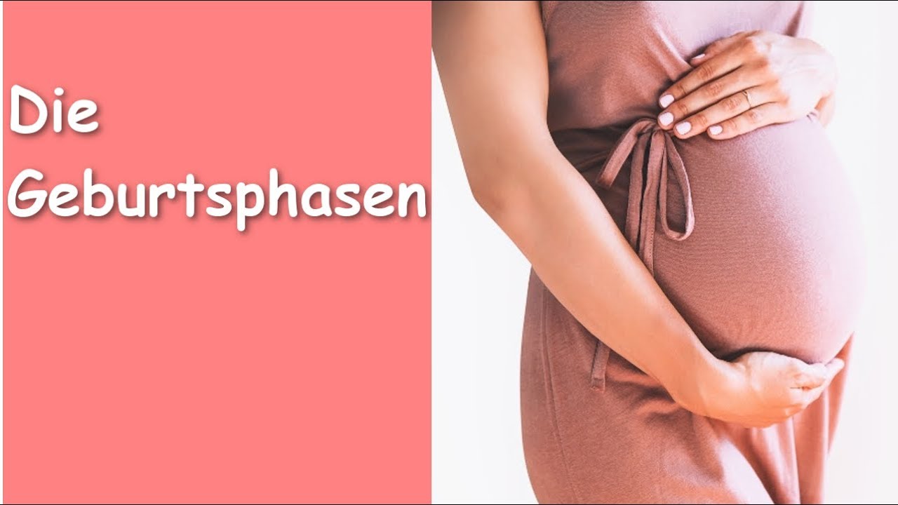 Die Geburtsphasen!