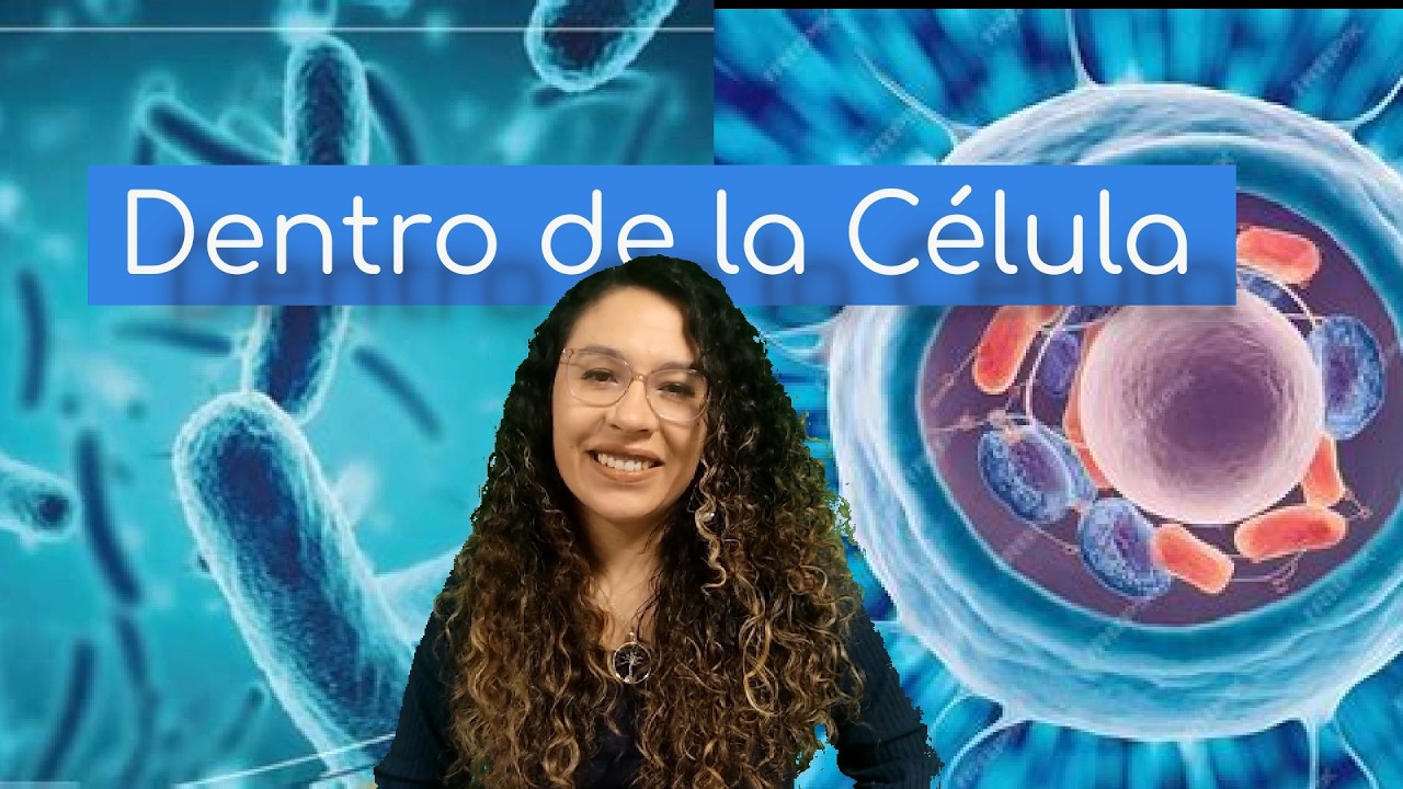 ¡Dentro de la Célula! Descubre sus Secretos y Orgánulos Escondidos 🧬