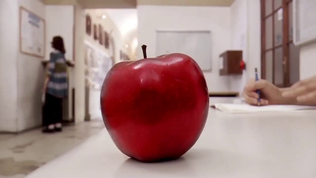 Accademia di Belle Arti di Bologna - Semplicemente arte, a tutto tondo