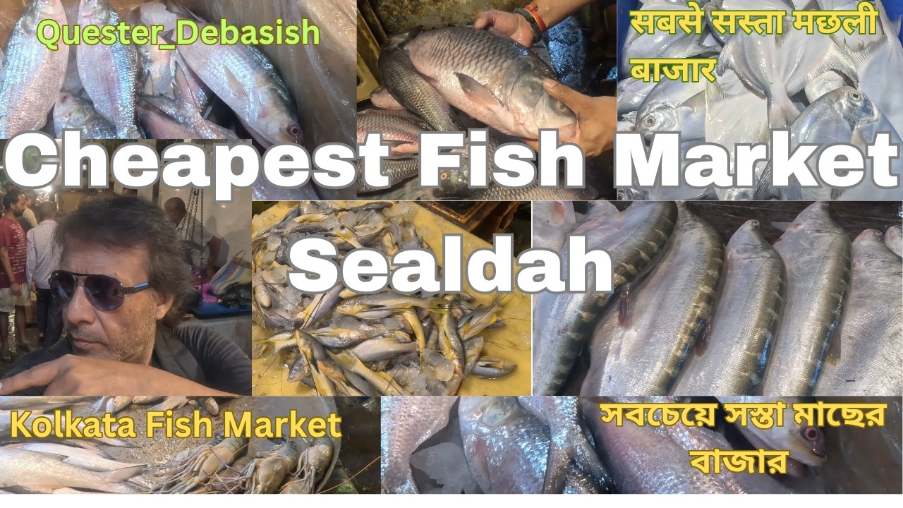 Sealdah Fish Market | Cheapest Fish Market in Kolkata |সবথেকে সস্তা মাছের বাজার lKolkata Fish Market