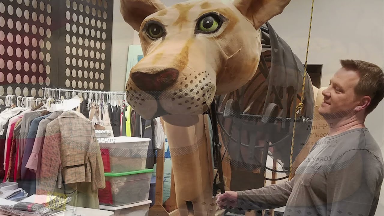 Building Aslan