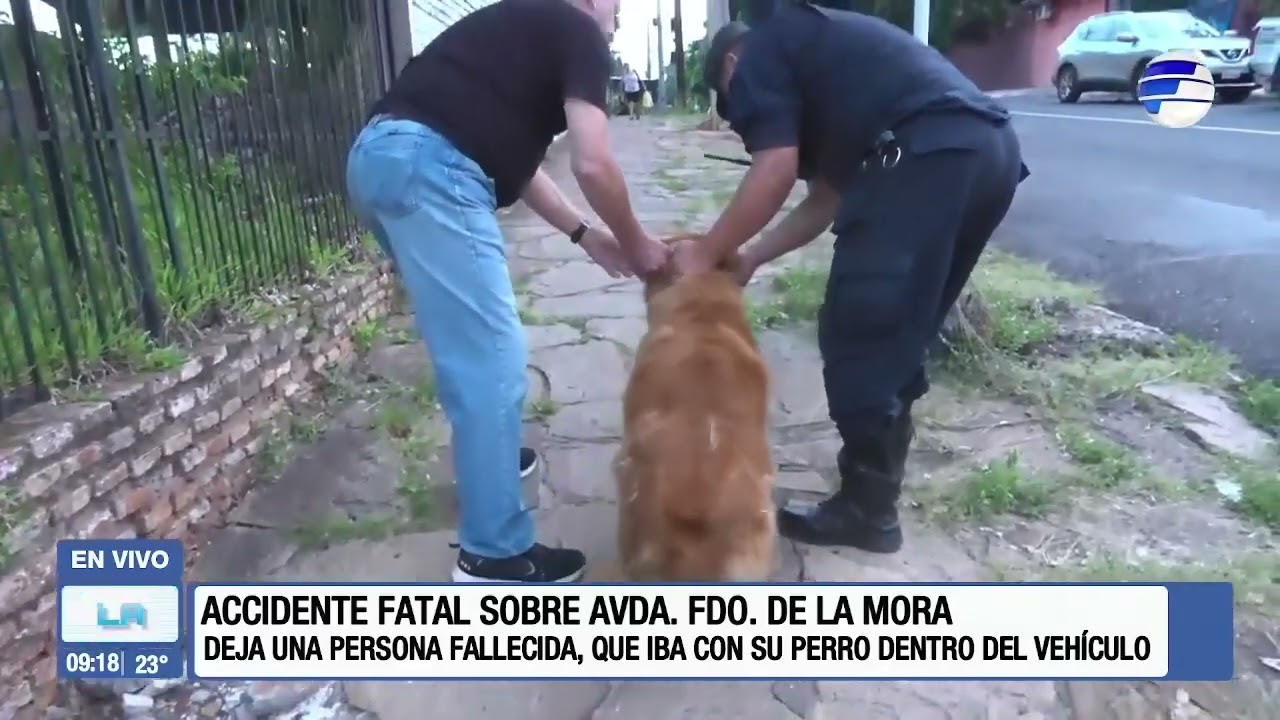 Accidente en Avda  Fdo  de la Mora