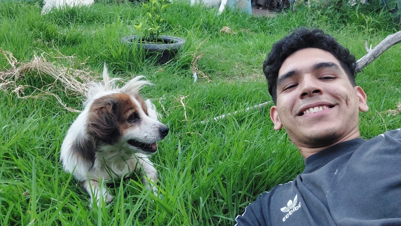 ASMR RÁPIDO Y CASERO EN MI PATIO  (PARTE 2) 💥🌲