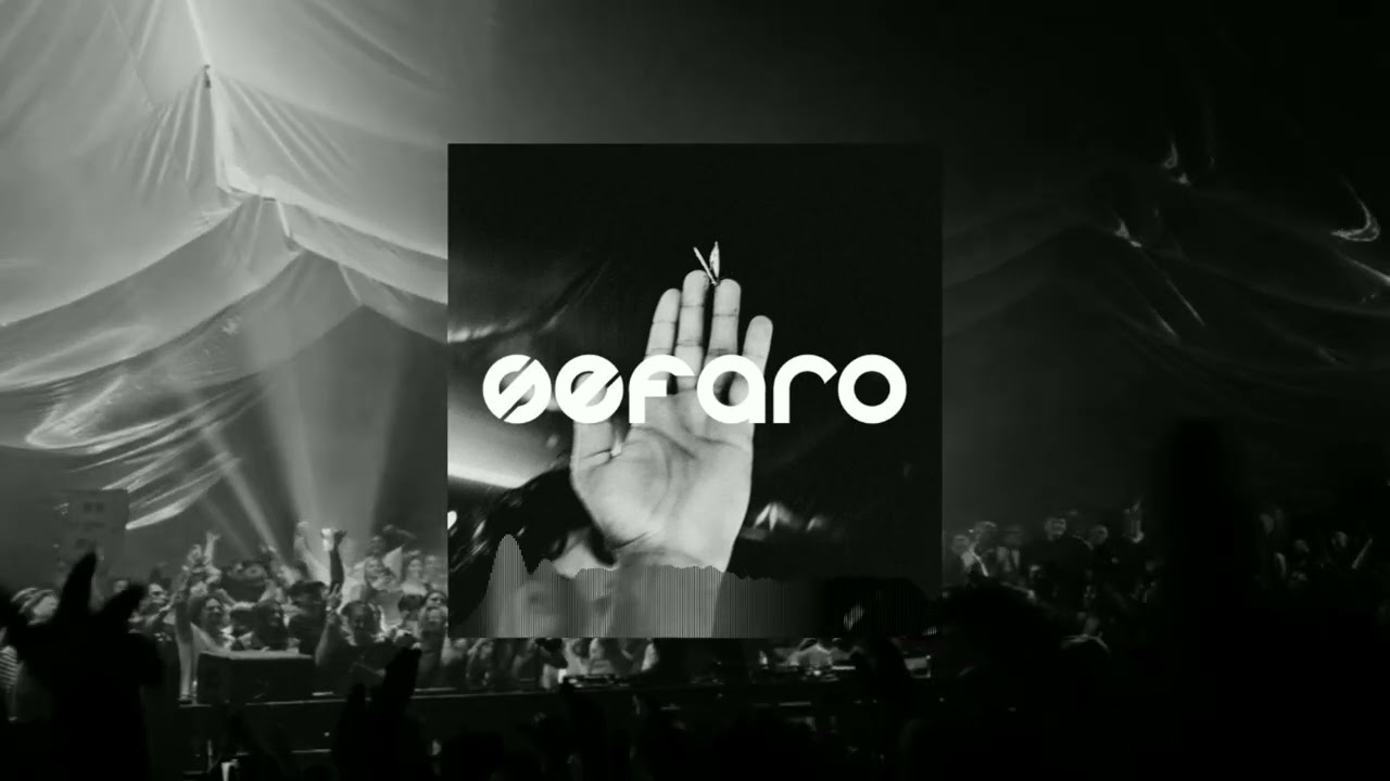 Fred again.., Danny Brown, BEAM, PARISI - OK OK (Sefaro Edit)