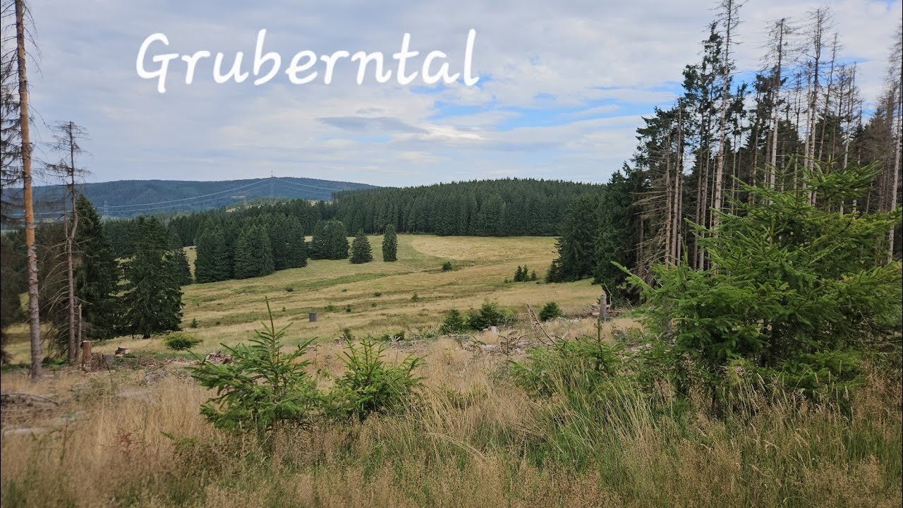 Wandern in  Thür.Teil 86,Möhrenbach, Glockendenkmal,Gruberntal