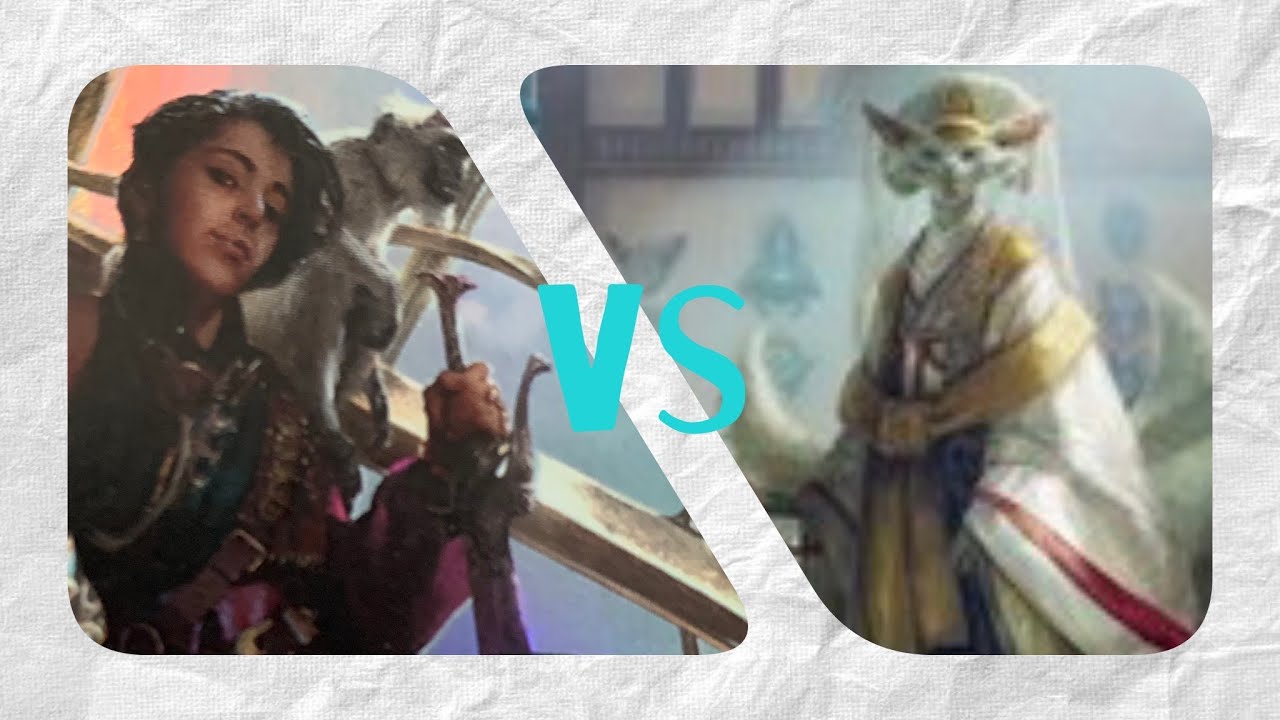 Kari Zev VS Light Paws