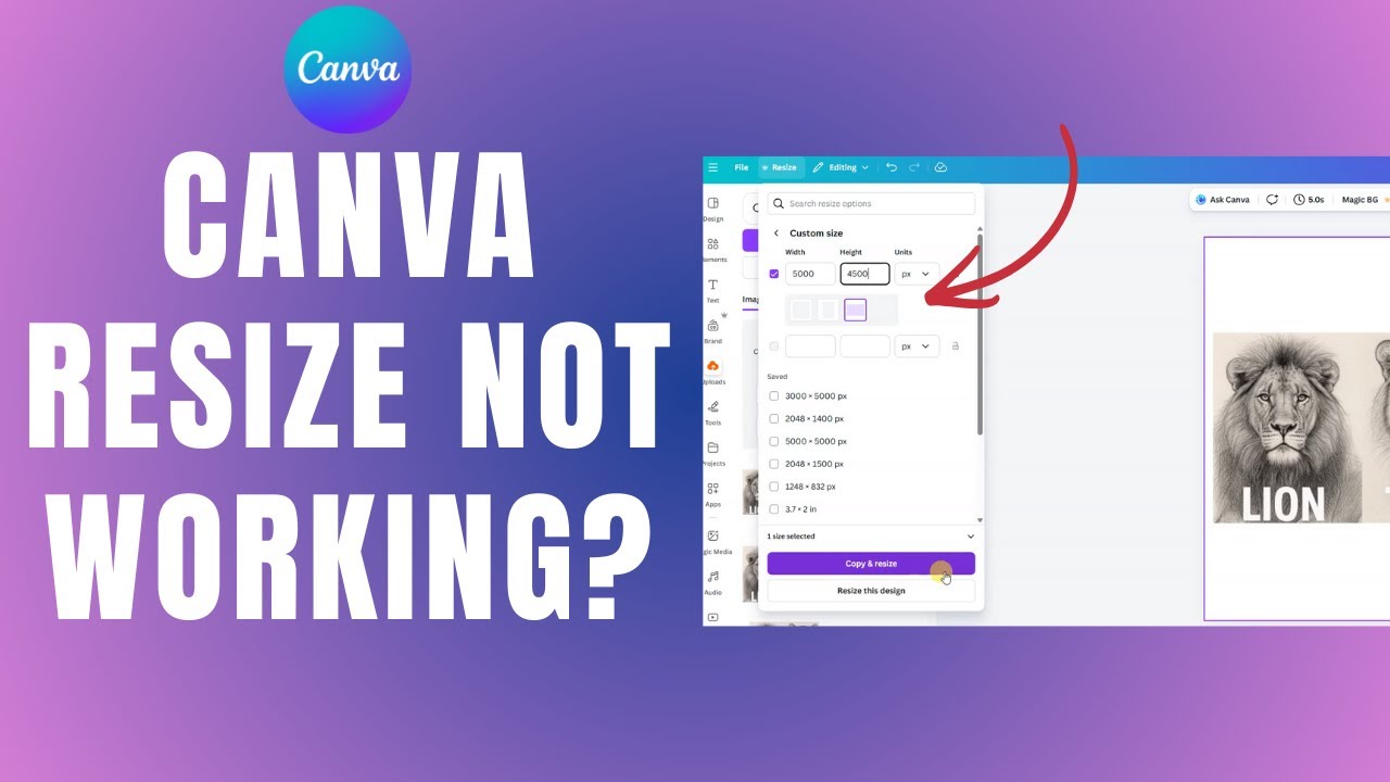 How To Resize Images In Canva | Canva Resize Not Working? Here’s the Fix