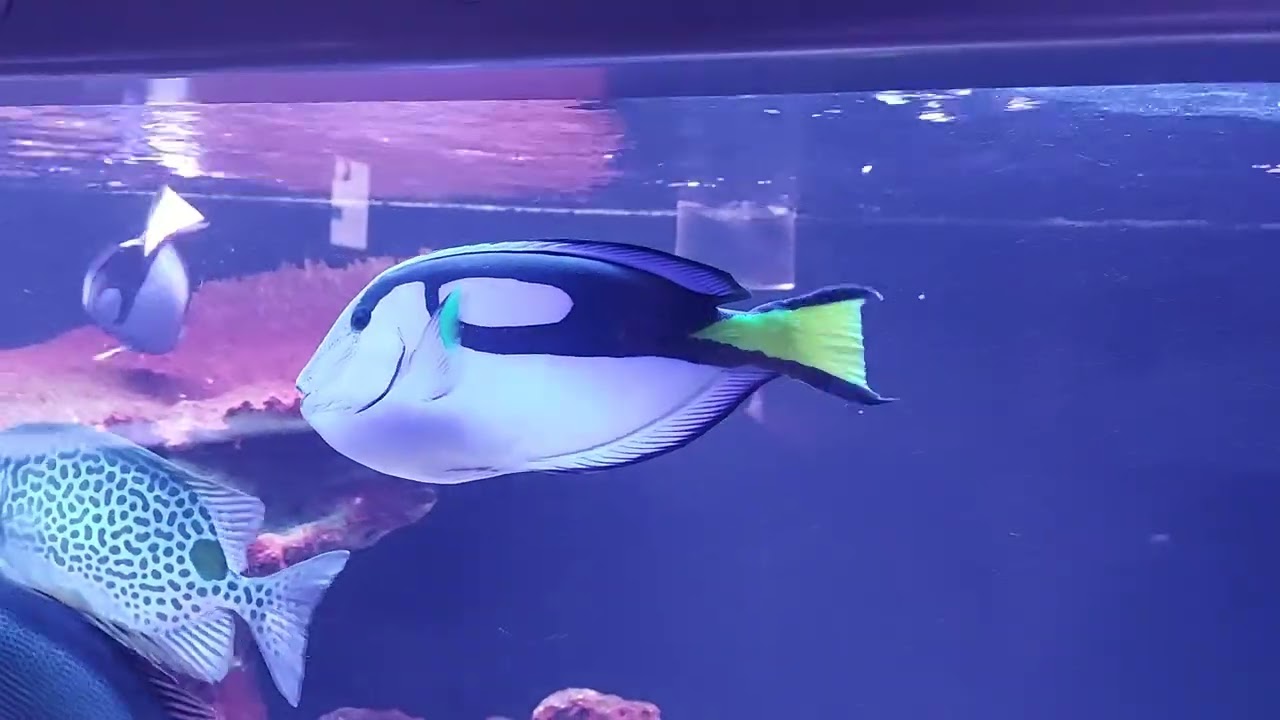 Oceanarium w Kołobrzegu@