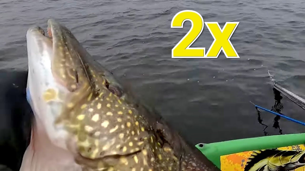 VERKOILLA 138 | EL&Auml;M&Auml;NI SUURIMMAT TUPLAT | VAAPPU SUUSSA !!!!!