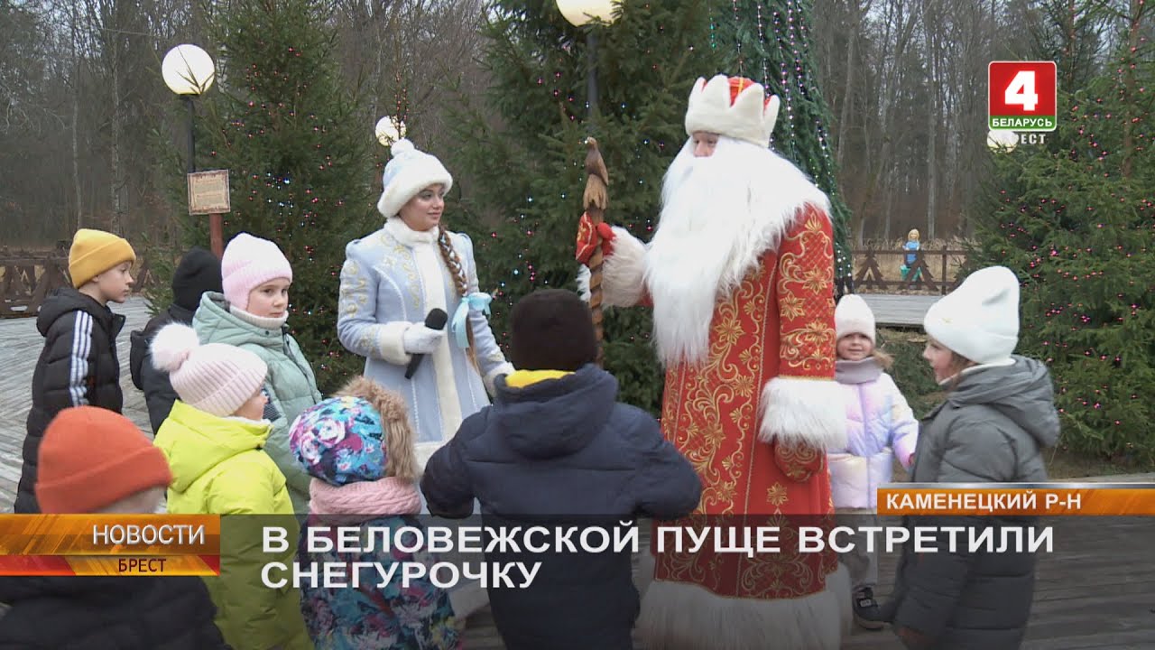 В БЕЛОВЕЖСКОЙ ПУЩЕ ВСТРЕТИЛИ СНЕГУРОЧКУ